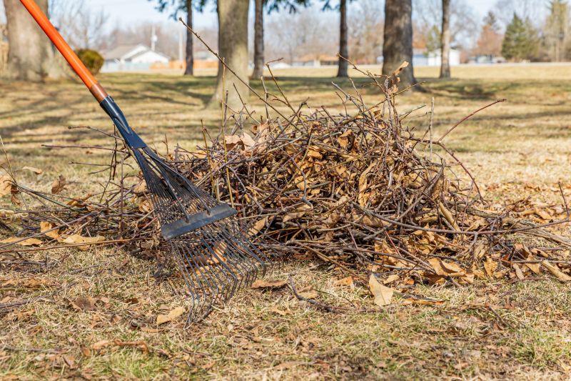 Collected Leaves and Debris