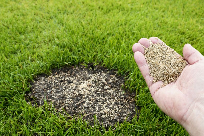 Products For Grass Repairs in use