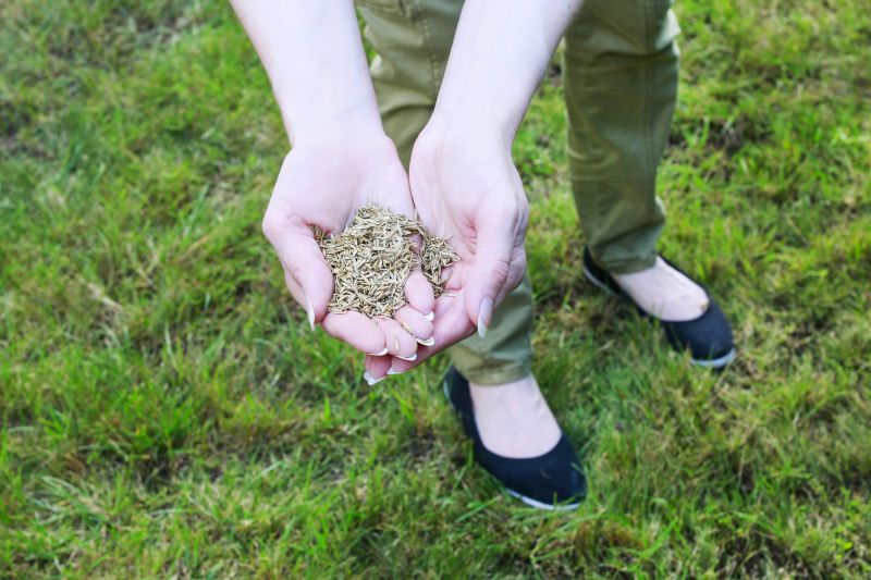 Lawn Maintenance Tools