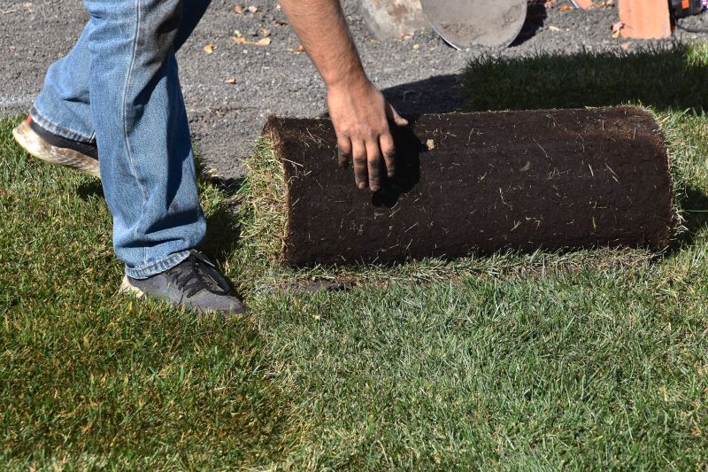 Yard Sodding in Honolulu, HI