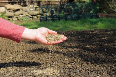 Get Grass Patches Seeded!