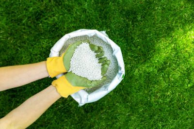 Get Your Grass Fertilized to Help it Grow!
